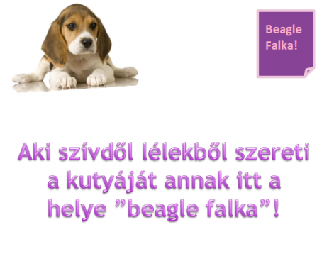 beagle3.png